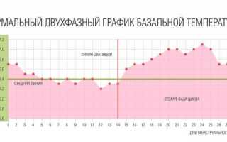 Базальная температура при беременности на ранних сроках