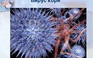 Какие прививки перед беременностью необходимы?