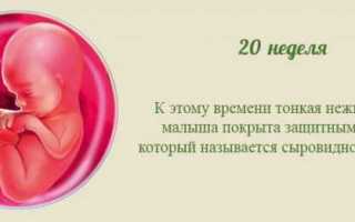20 неделя беременности