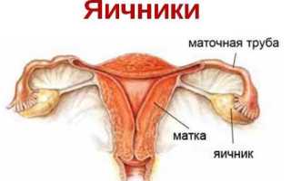 Почему болит грудь после месячных