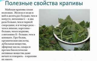 Отвар крапивы при месячных
