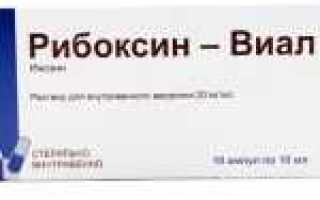 Рибоксин во время гестации: друг или враг