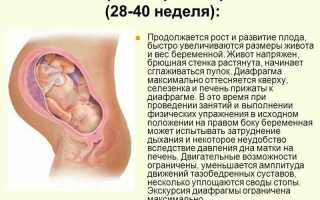 29 неделя беременности: развитие плода, ощущения