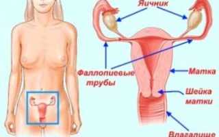 Кровотечение из матки