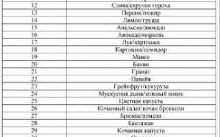 Когда начинает расти живот при беременности