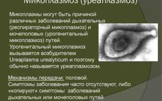 Интервью. Медикаментозные препараты и бесплодие