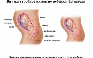 28 неделя беременности