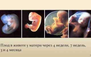 Магне В6 при беременности – помощник будущей мамы