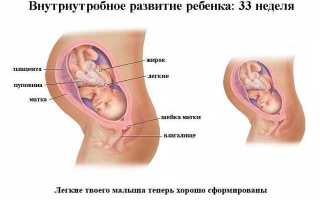 33 неделя беременности