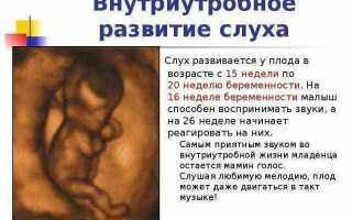 16 неделя беременности