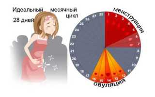 Месячные или имплантационное кровотечение